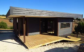 Punta Sal Pichilemu